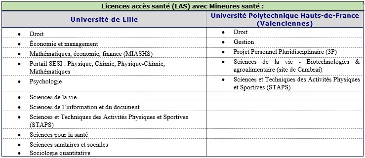 Licence accès santé